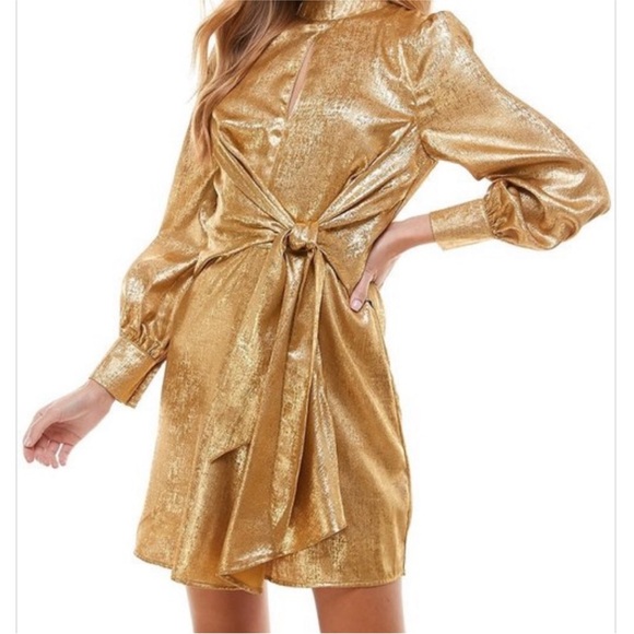 TCEC Dresses & Skirts - TCEC Shimmering Gold Long Sleeve Dress NWT Size Large